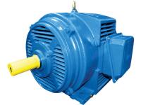Электродвигатель 4АМН 180М8лапы