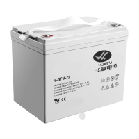 Аккумулятор для штабелёров PWS/WS 12V/75Ah гелевый 
(Gel battery)