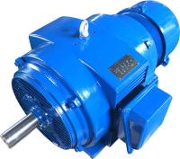 Электродвигатель 5АНК 315MС4